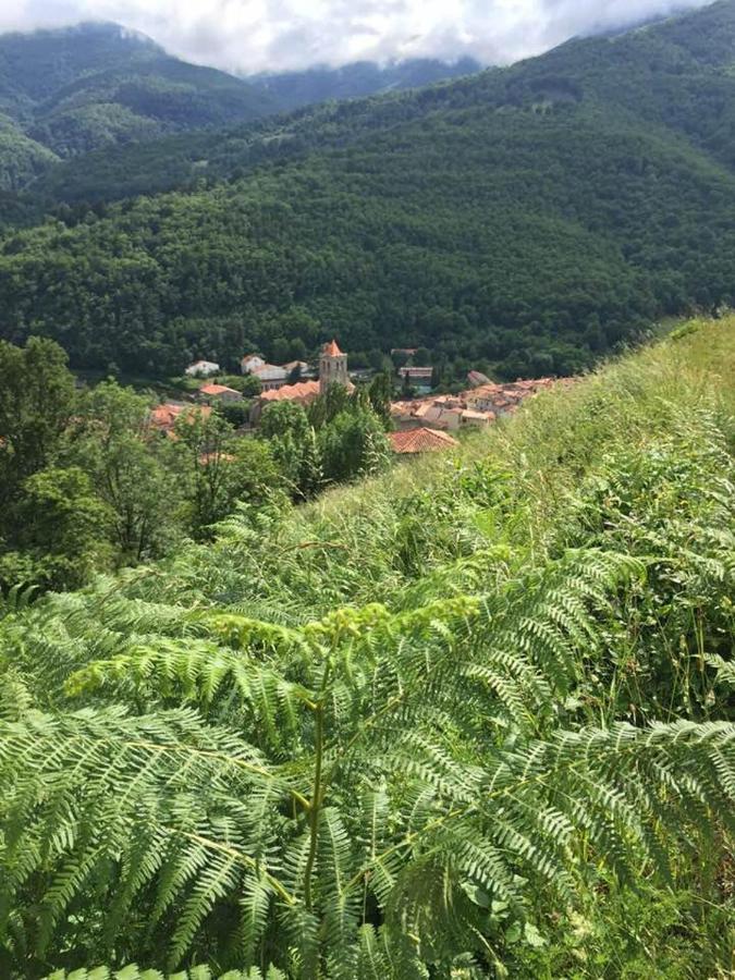 T2 Petite Terrasse Coeur De Ville Prats-de-Mollo-la-Preste Bagian luar foto